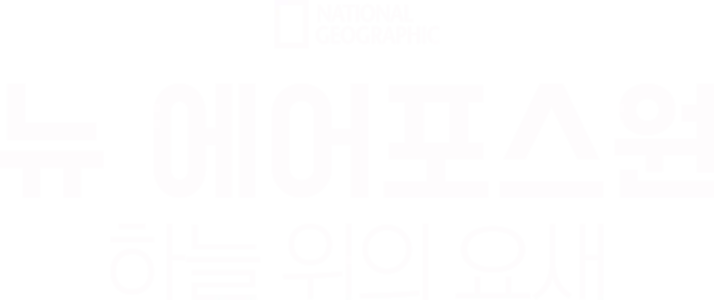 뉴 에어포스원, 하늘 위의 요새
