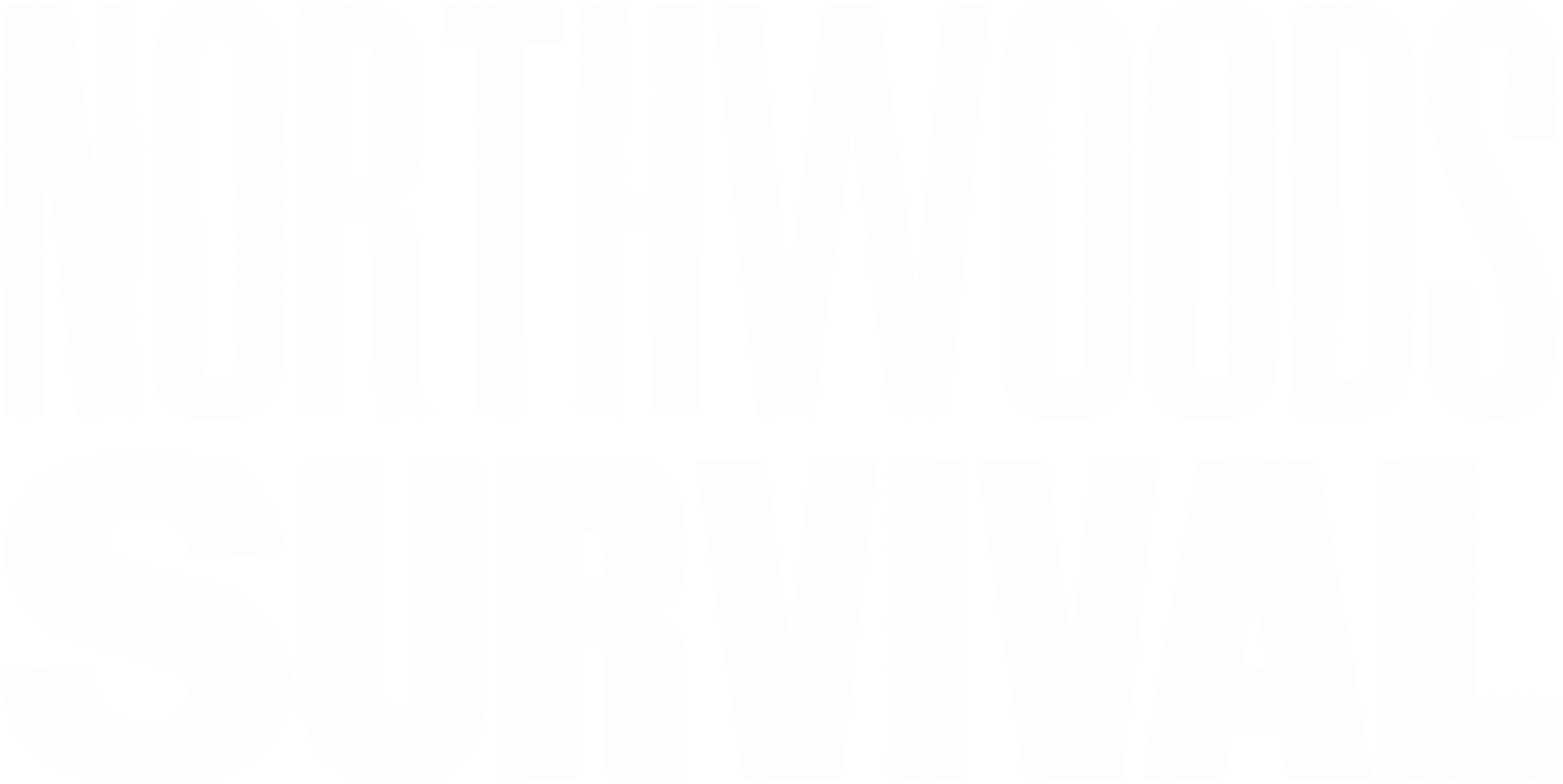 Northwoods Survival