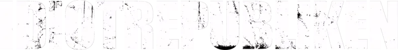 Idiotrepubliken