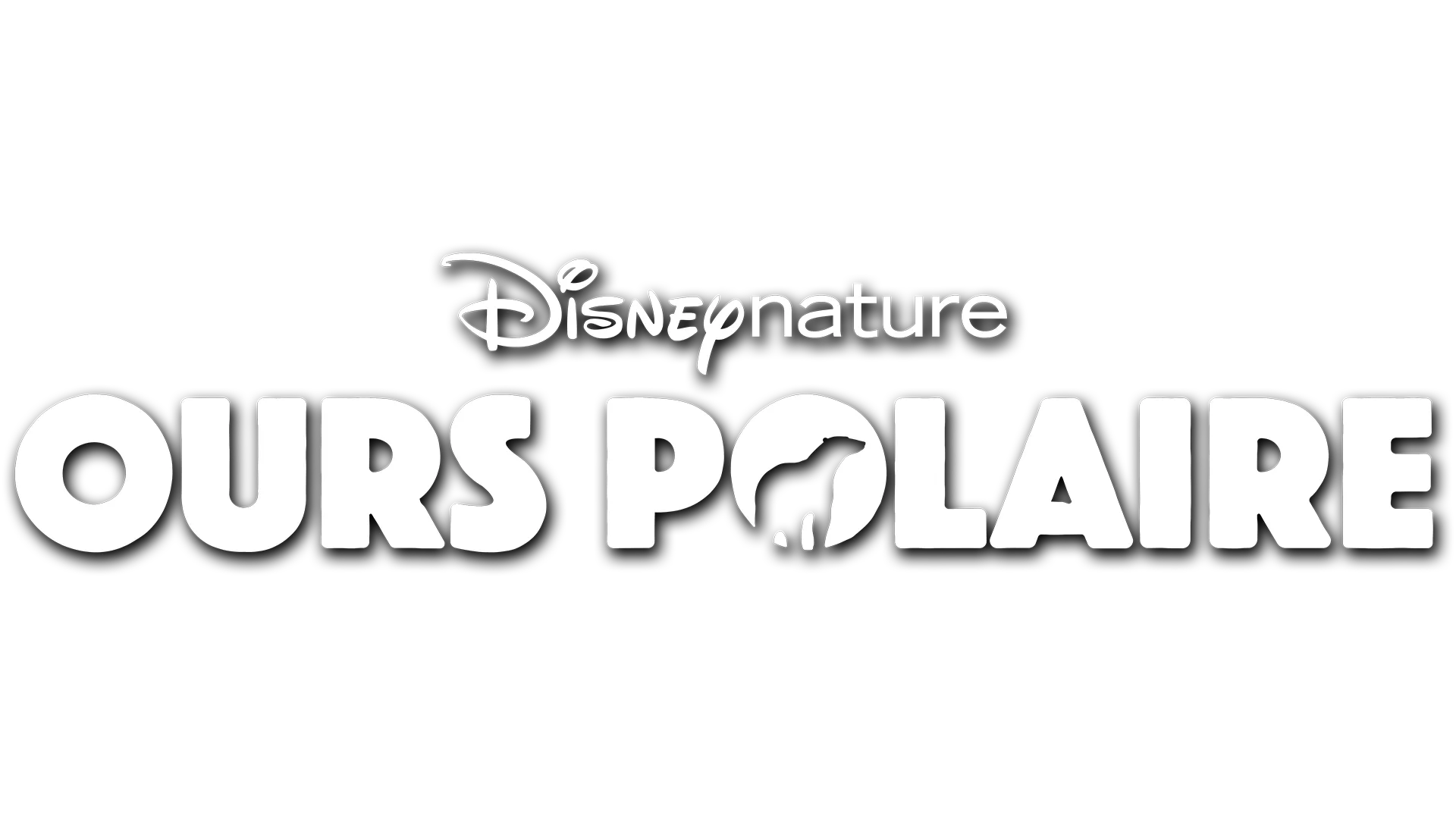Ours polaire