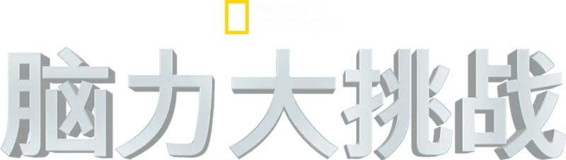 脑力大挑战