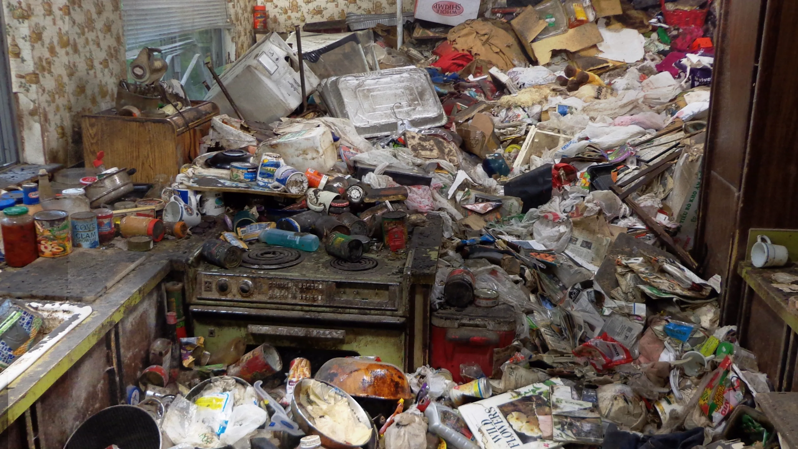 Hoarding: Buried Alive