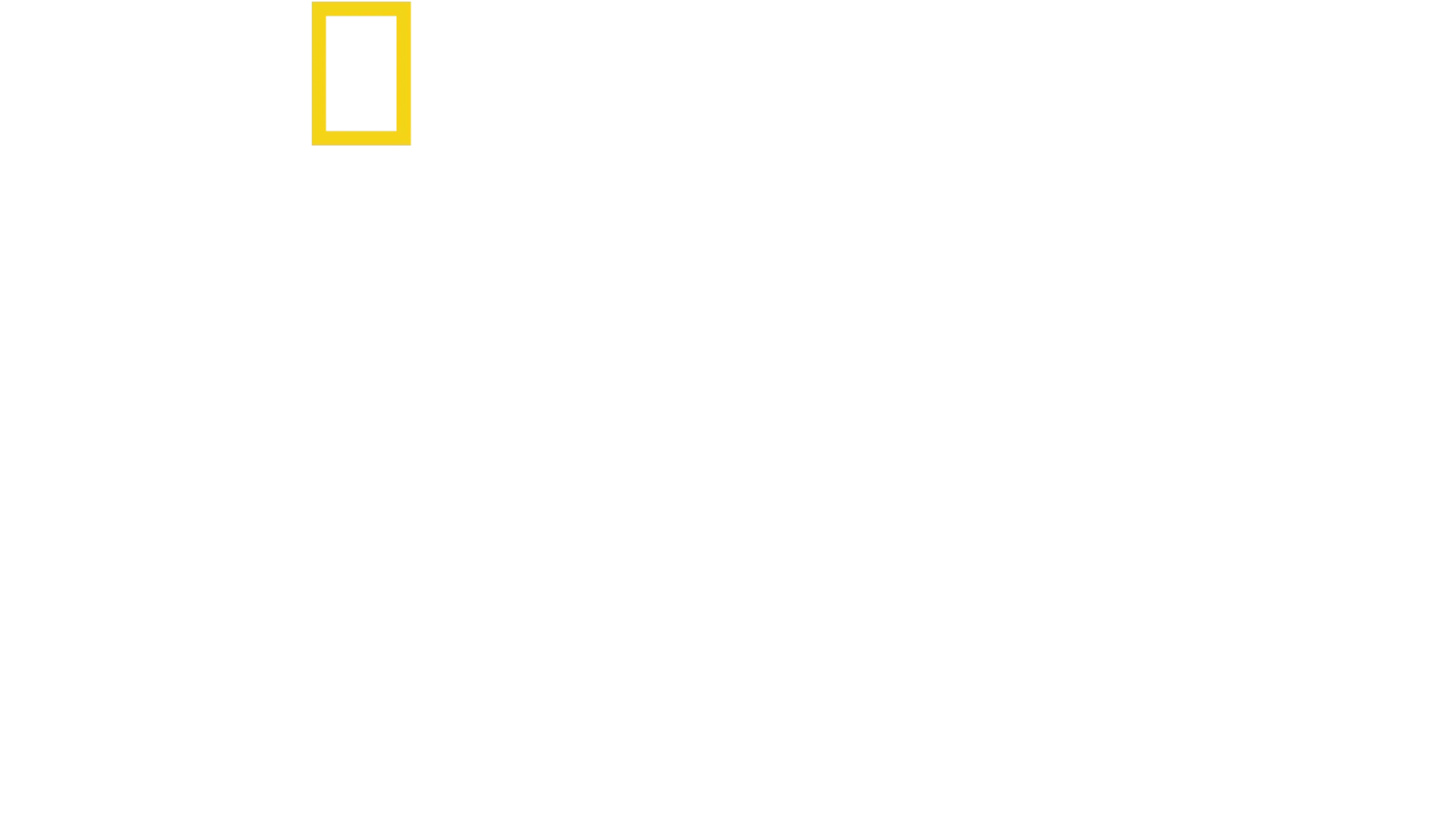 캡틴, 쿠스토