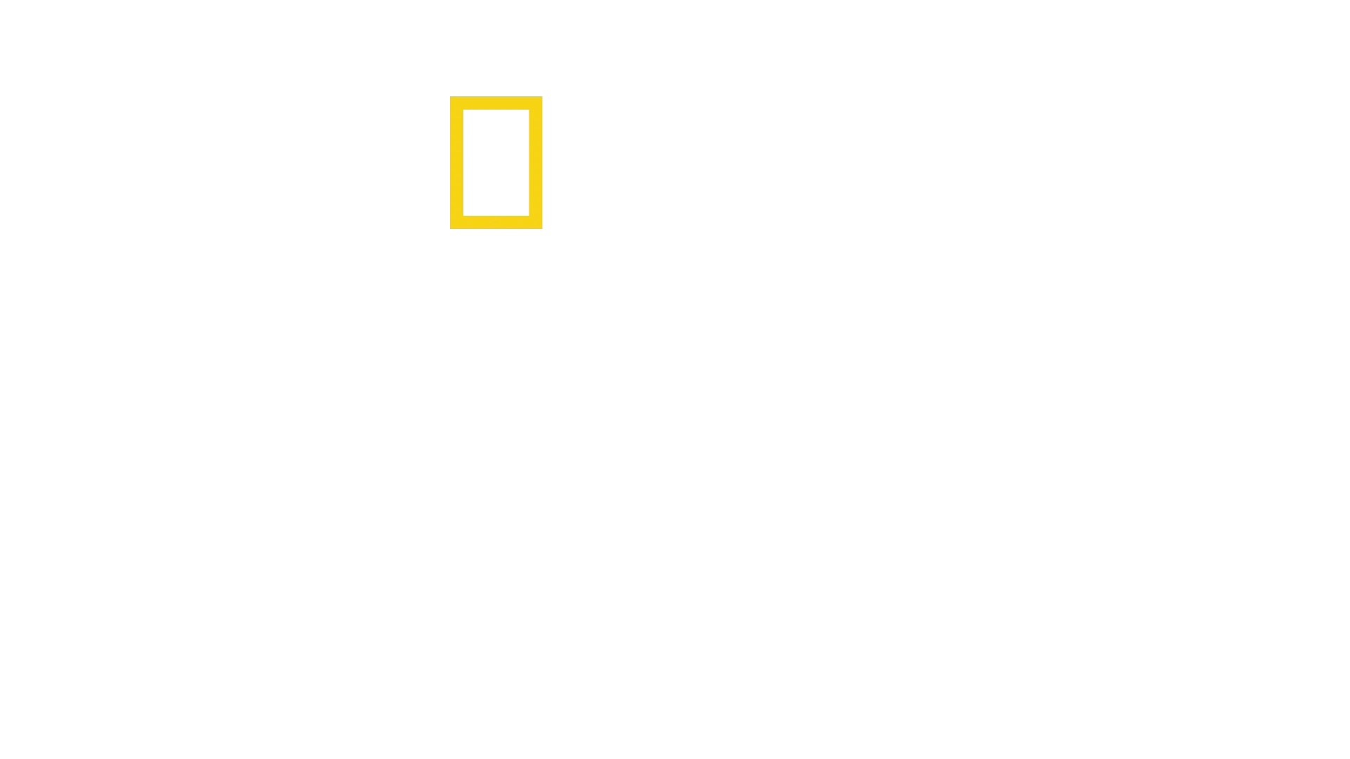 Na krawędzi ryzyka
