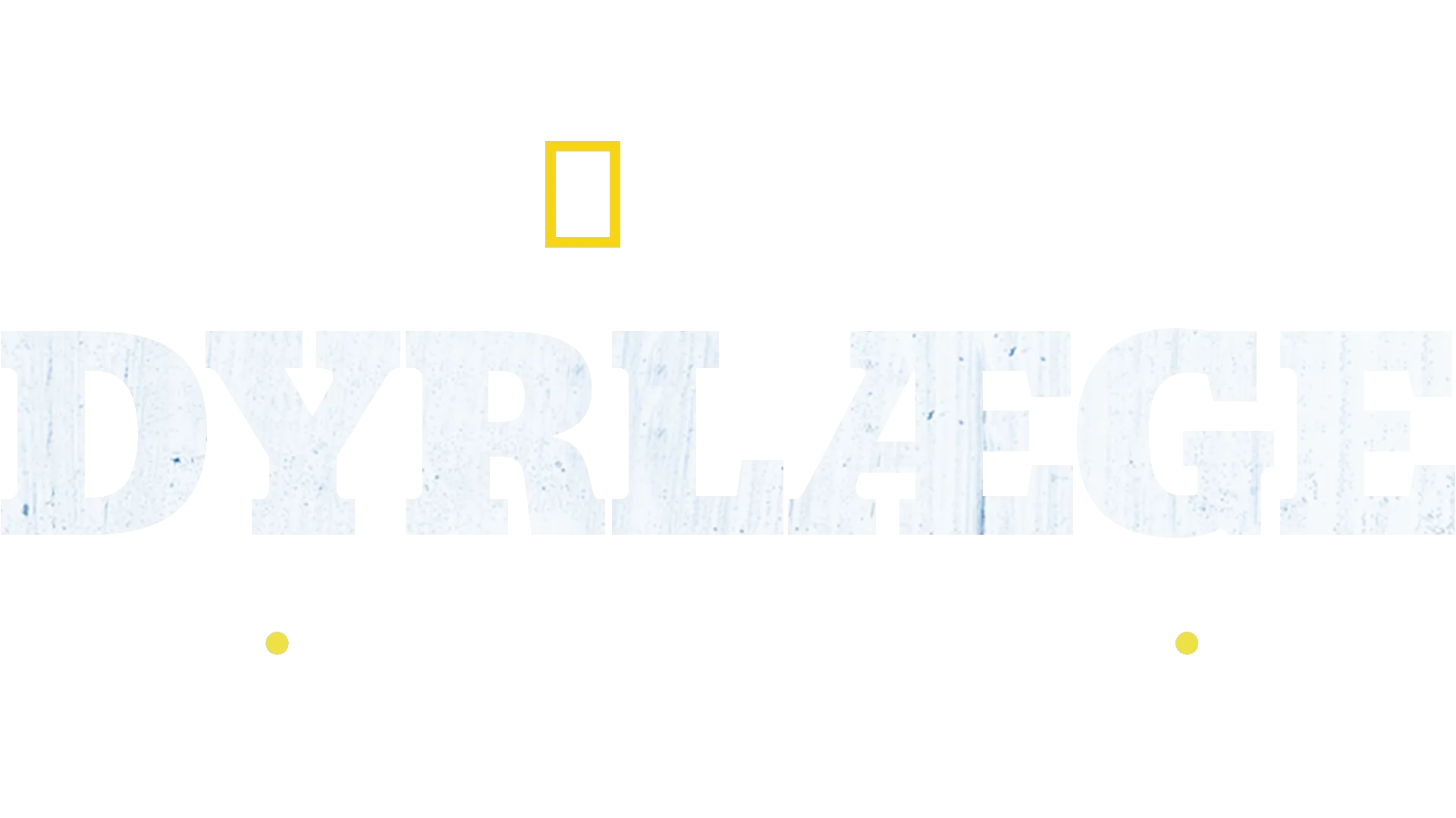 Dr. Oakley, Yukon Vet