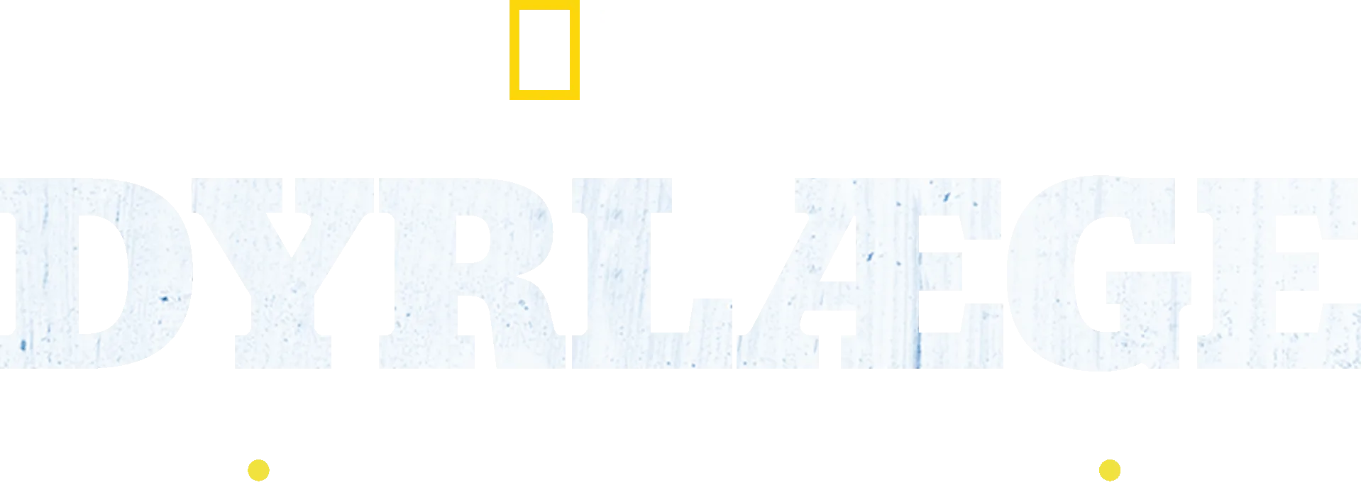 Dr. Oakley, Yukon Vet