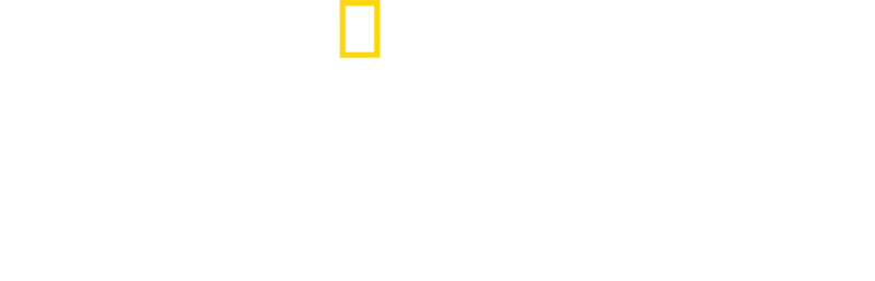 Μυστικά των Χταποδιών