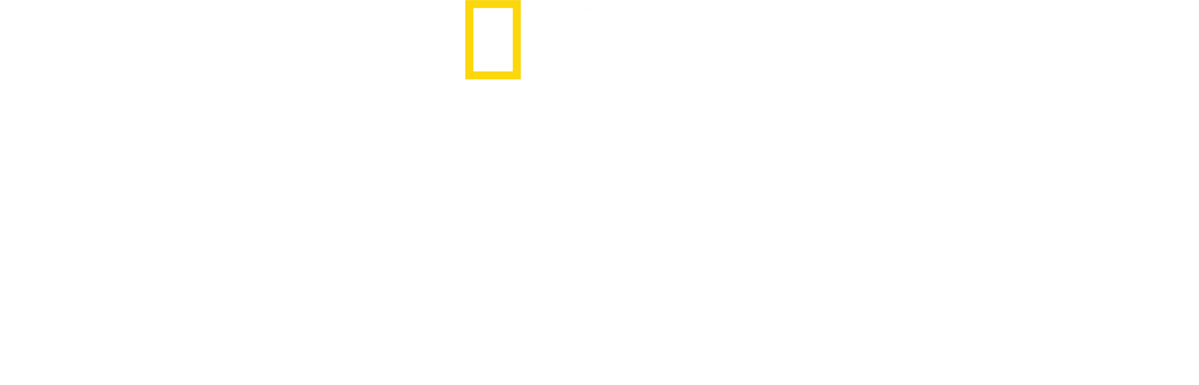 Μυστικά των Χταποδιών