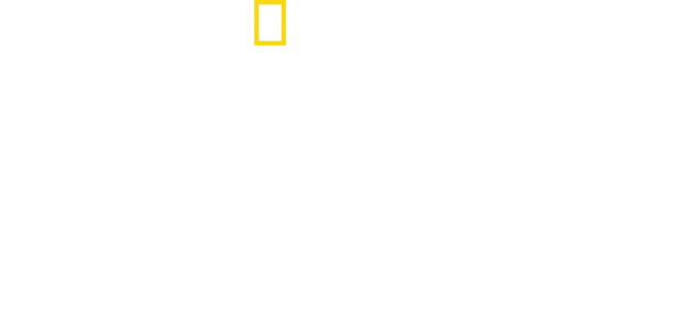 克里斯·海姆斯沃斯：鲨鱼海滩