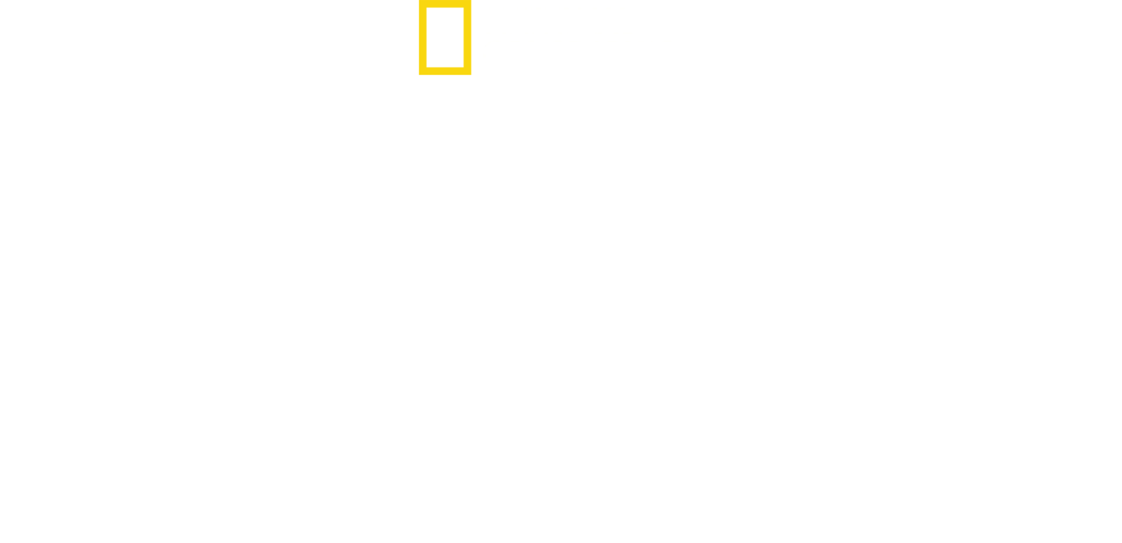 克里斯·海姆斯沃斯：鲨鱼海滩
