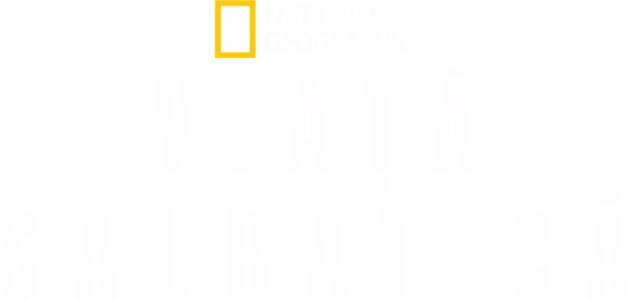 Viață salbatică
