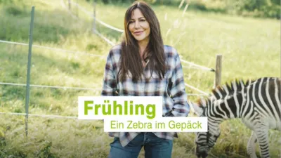 Frühling - Ein Zebra im Gepäck