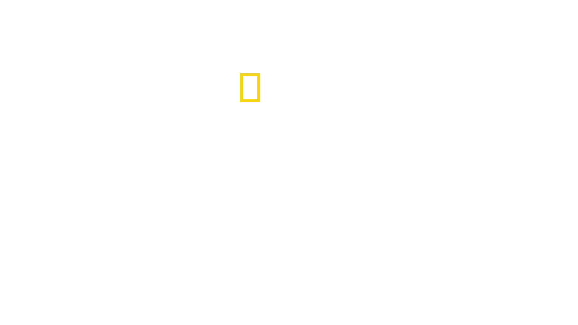 Dorastanie w świecie zwierząt