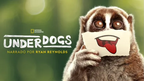 thumbnail - Underdogs