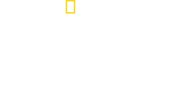 Die Hatchers - Farm, Kühe und Doktoren