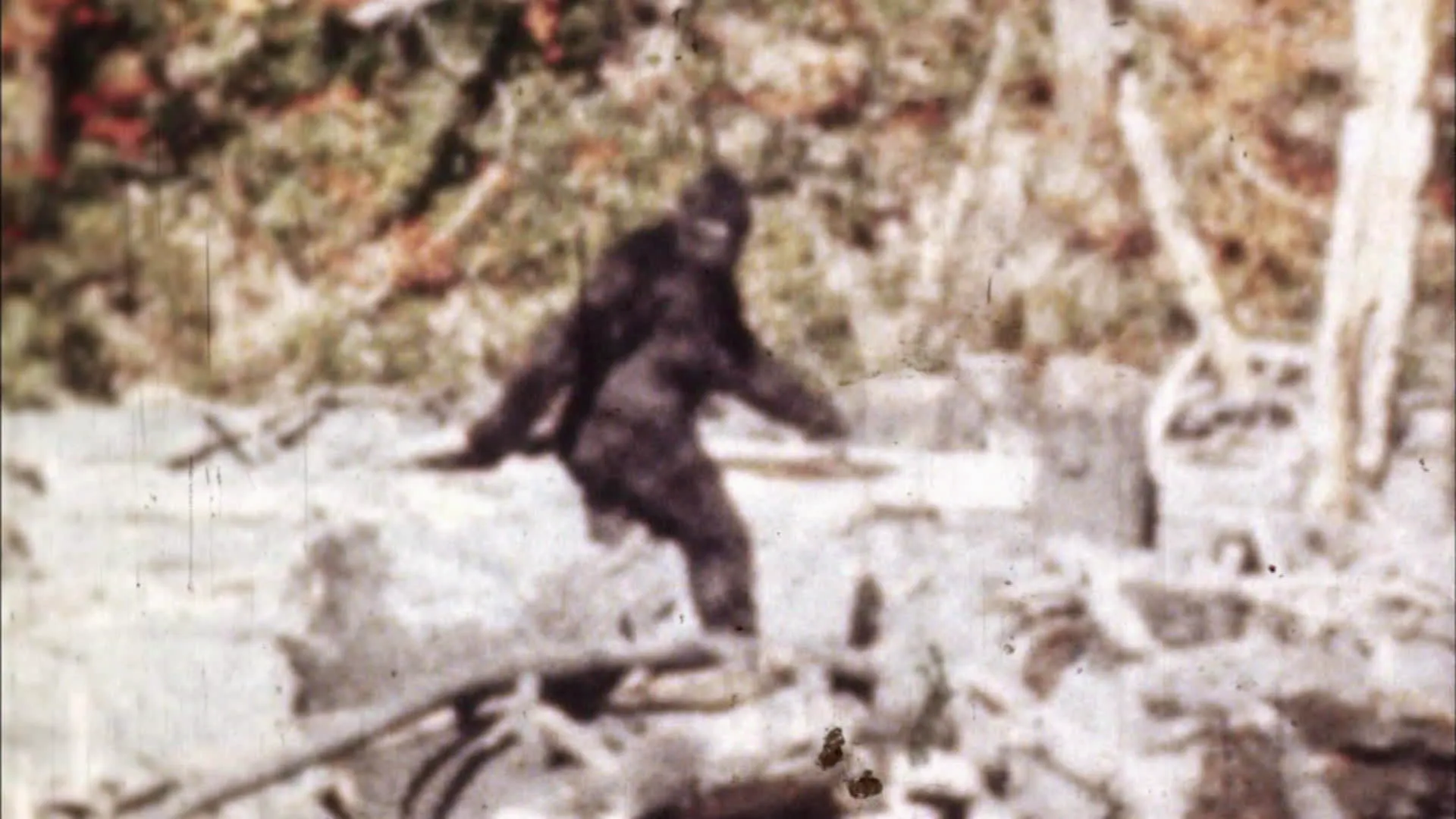 thumbnail - M1:Ep5 Bigfoot