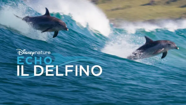 thumbnail - Echo, il delfino