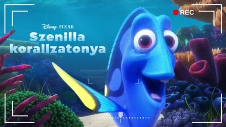 thumbnail - Szenilla korallzátonya