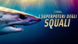 thumbnail - Shark Superpower