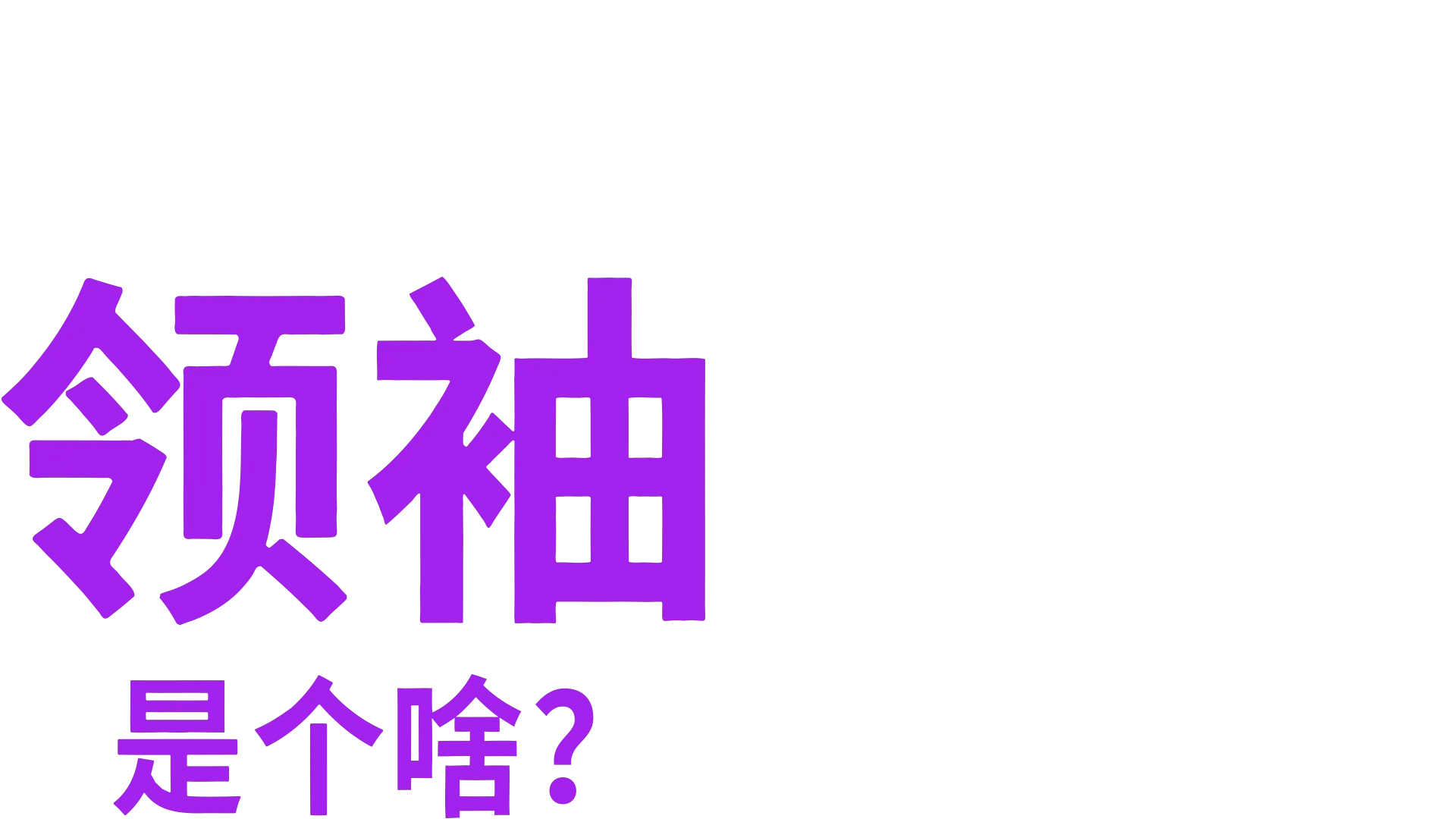 领袖是个啥？
