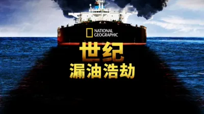 世纪漏油浩劫