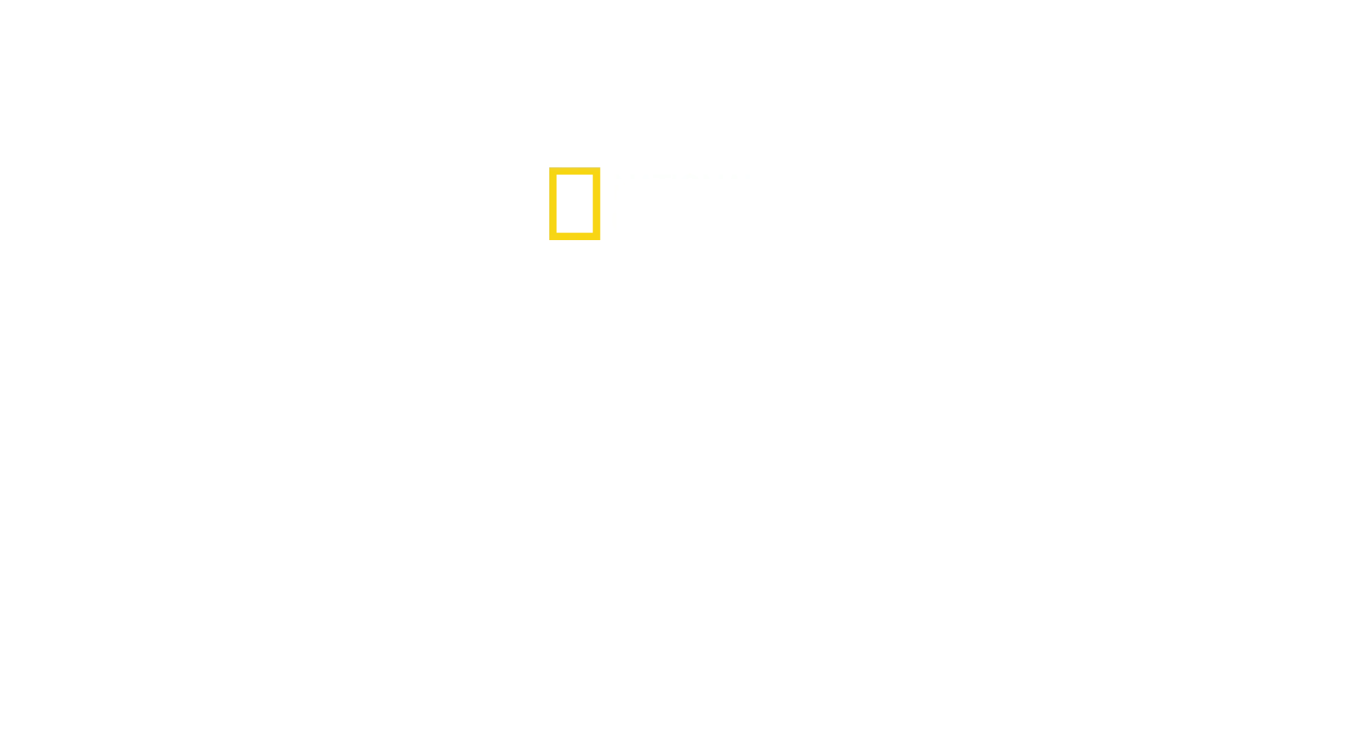 Predadores Africanos