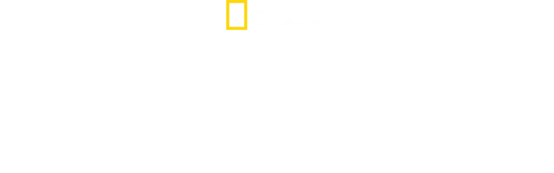 Predadores Africanos