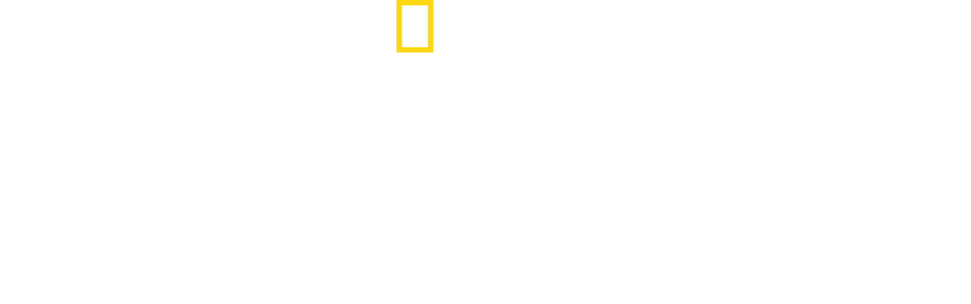Predadores Africanos