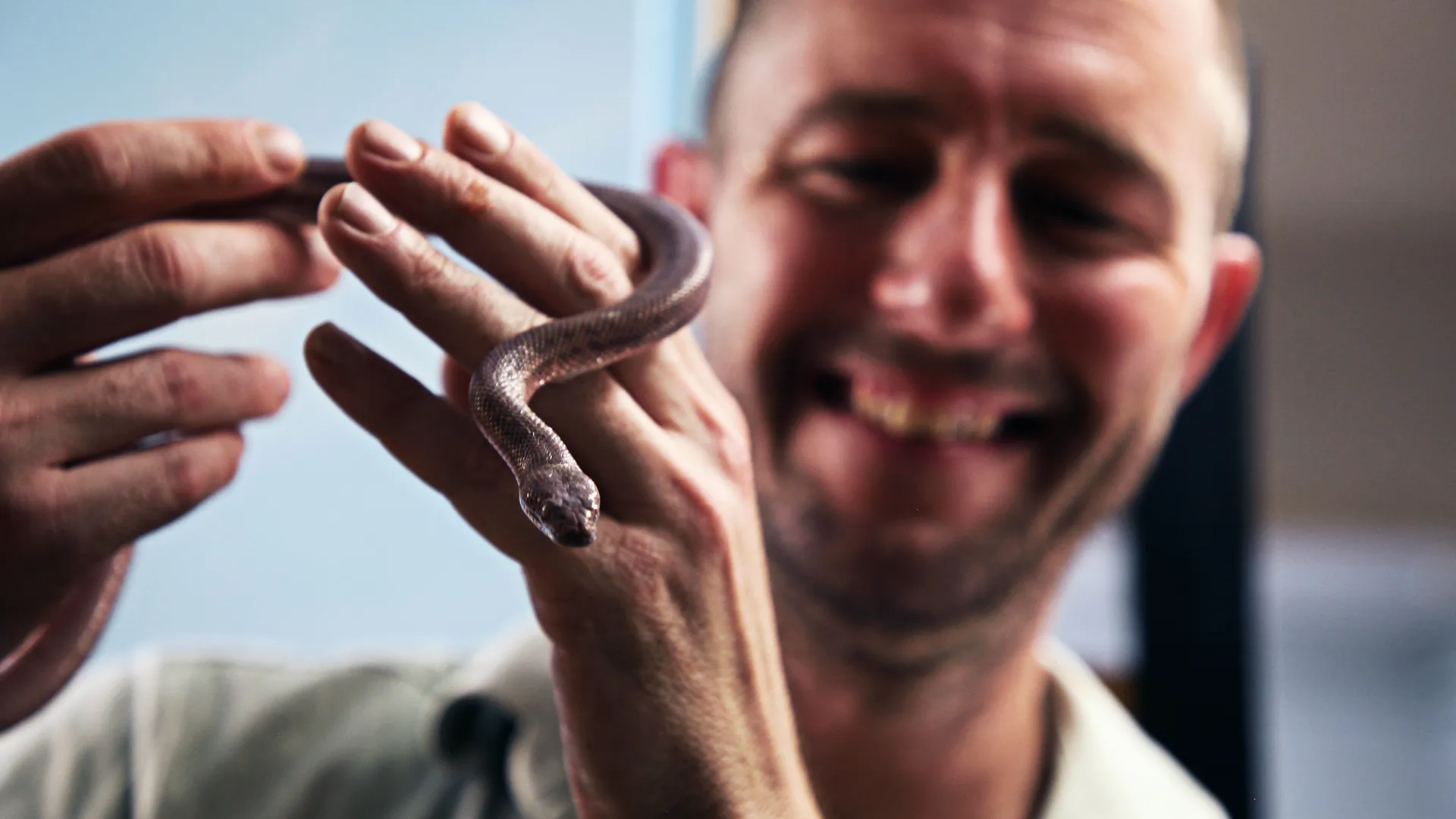 thumbnail - S3:E13 The Tweetest Thing