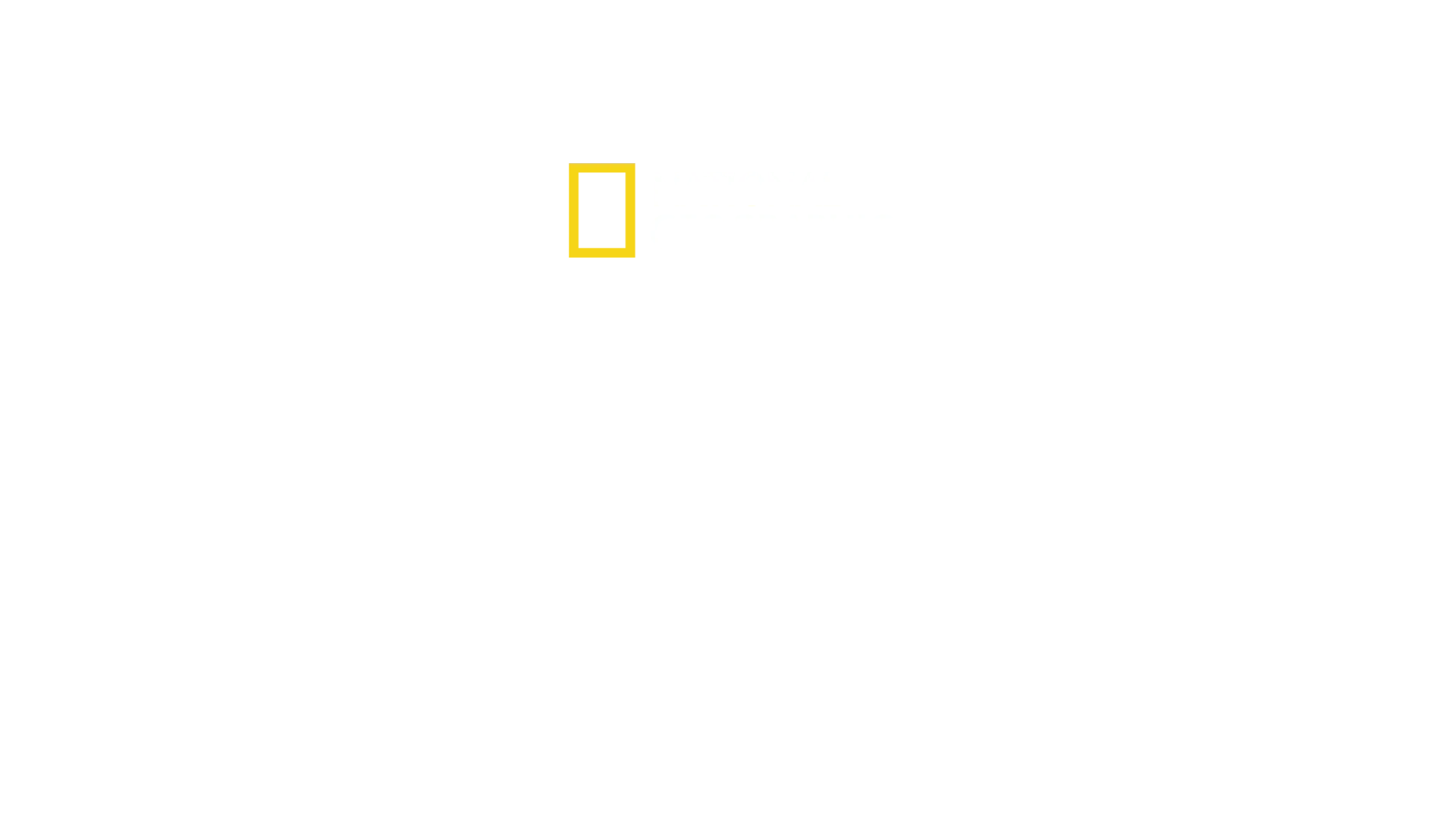 El club de la lucha animal