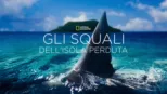 thumbnail - Gli squali dell'isola perduta