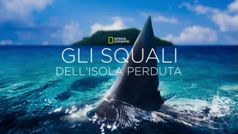 thumbnail - Gli squali dell'isola perduta