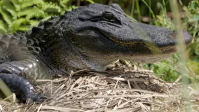 thumbnail - S1:E3 Waterworlds