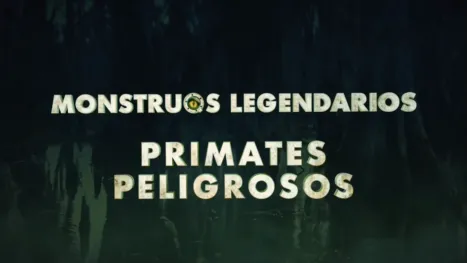 thumbnail - MonsterQuest: Dangerous Primates