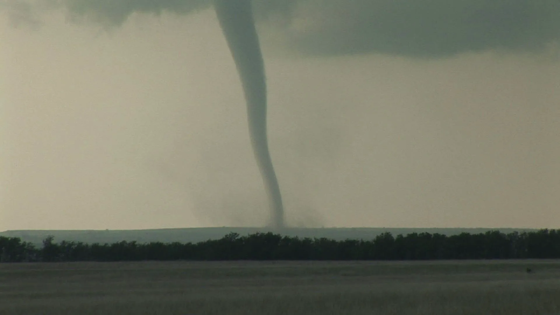 thumbnail - S1:E7 Sucked Up By a Tornado, Elevators Gone Wrong, Motorcycle vs. Flood and The Indian Ocean Tsunami of '04