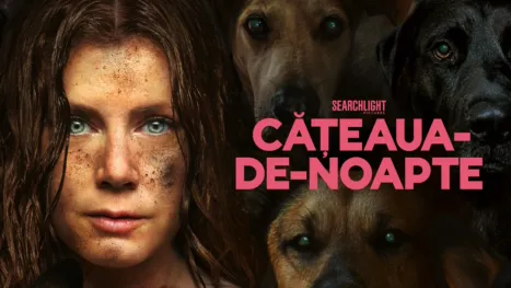 thumbnail - Cățeaua-de-Noapte