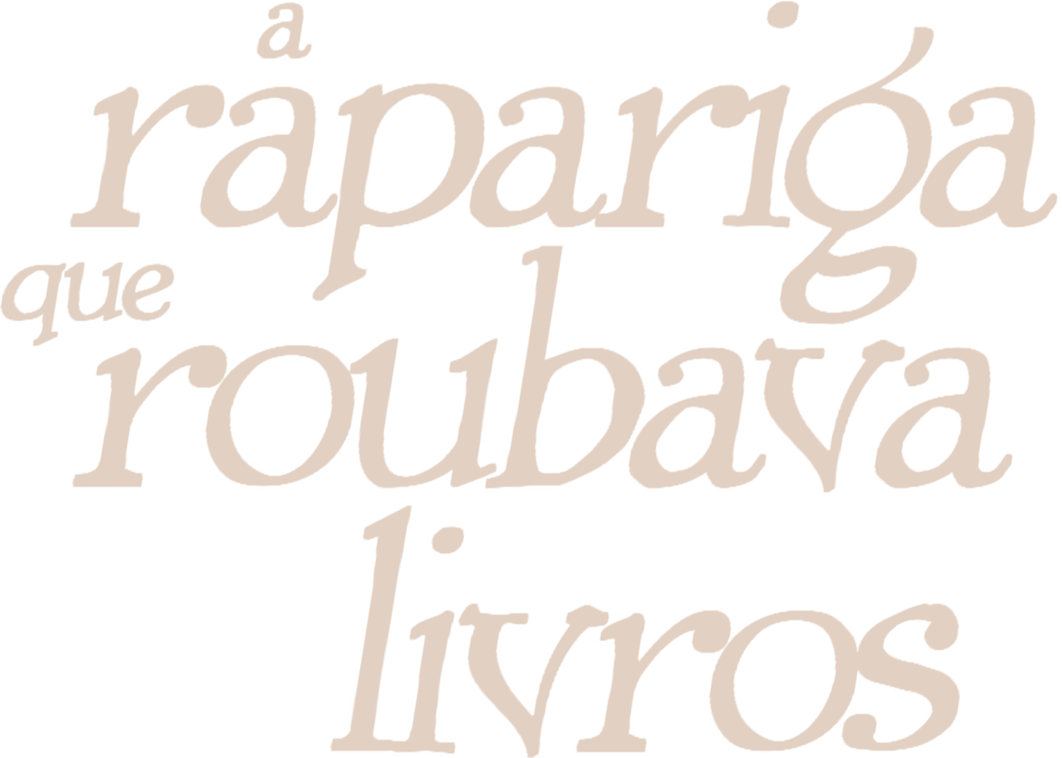 A Rapariga Que Roubava Livros