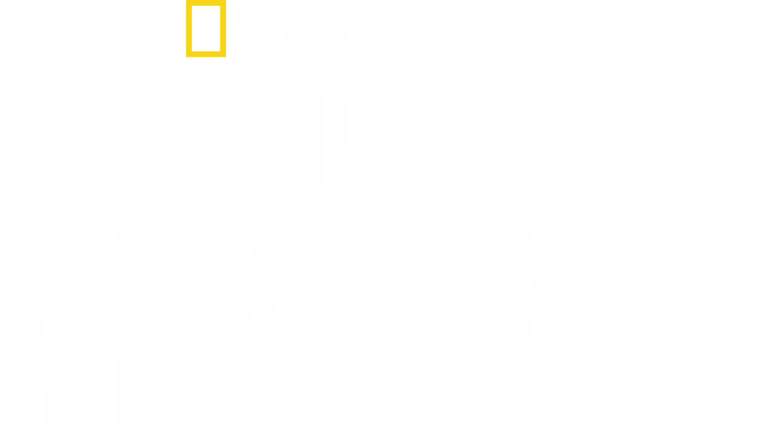피라미드의 사라진 무덤