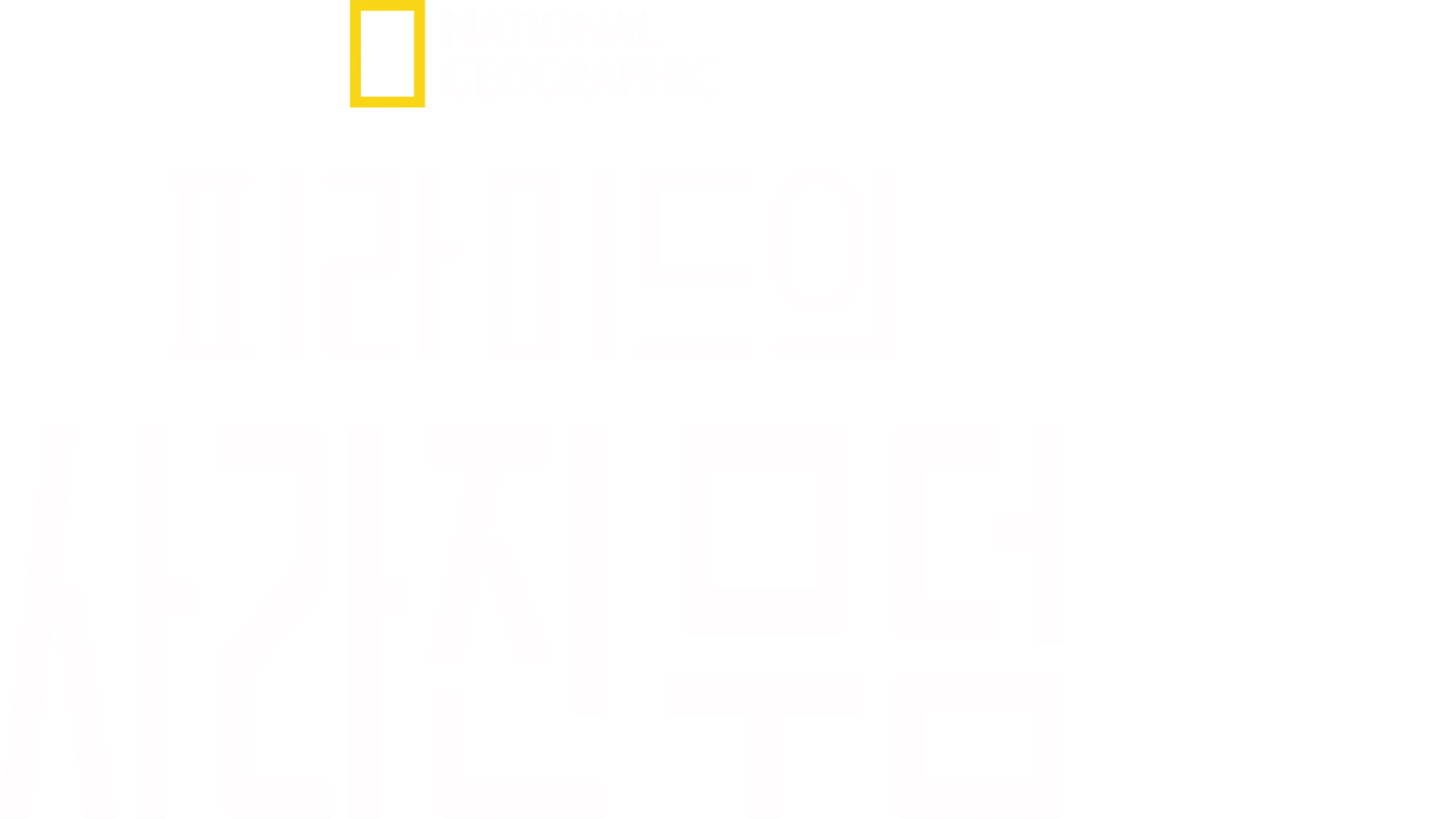 피라미드의 사라진 무덤