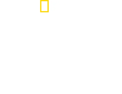 피라미드의 사라진 무덤