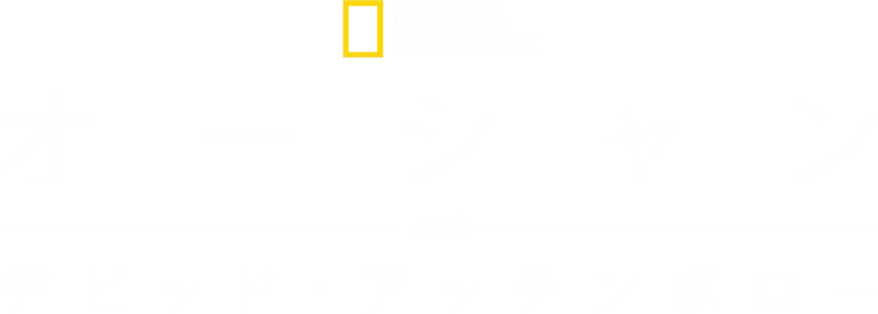 オーシャン with デビッド・アッテンボロー