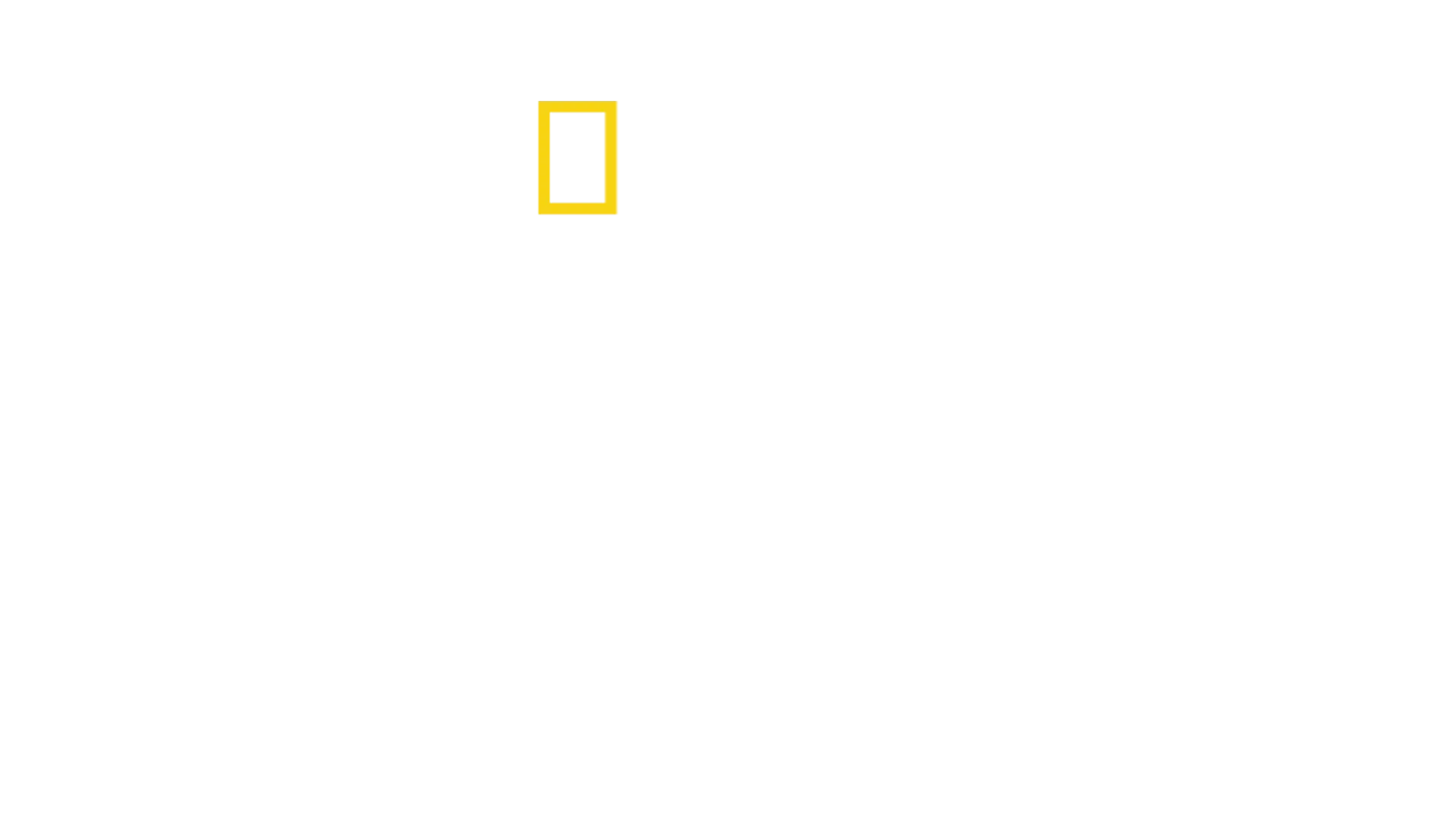 À Beira de um Desastre