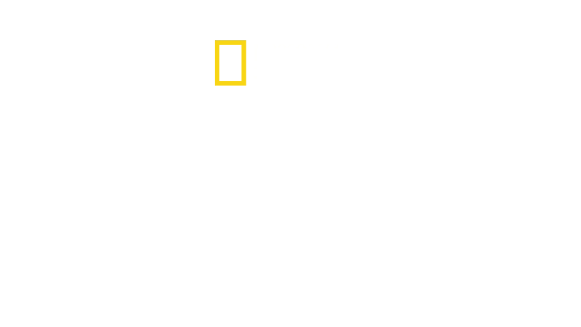 À Beira de um Desastre