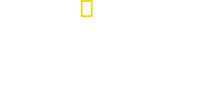 À Beira de um Desastre