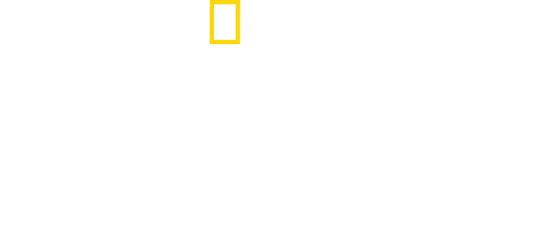 À Beira de um Desastre