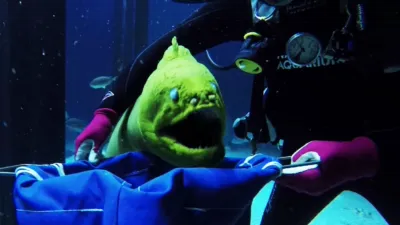 thumbnail - S1:E1 Jolly Green Giant