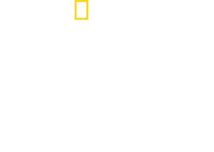 仰天！世界の遺跡まる見え検証