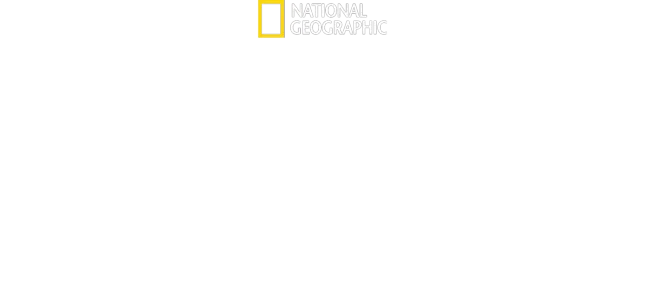 Dr. K's Exotic Animal ER