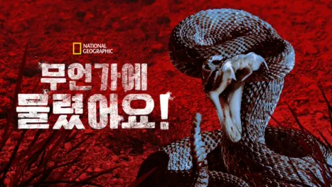 thumbnail - 무언가에 물렸어요!