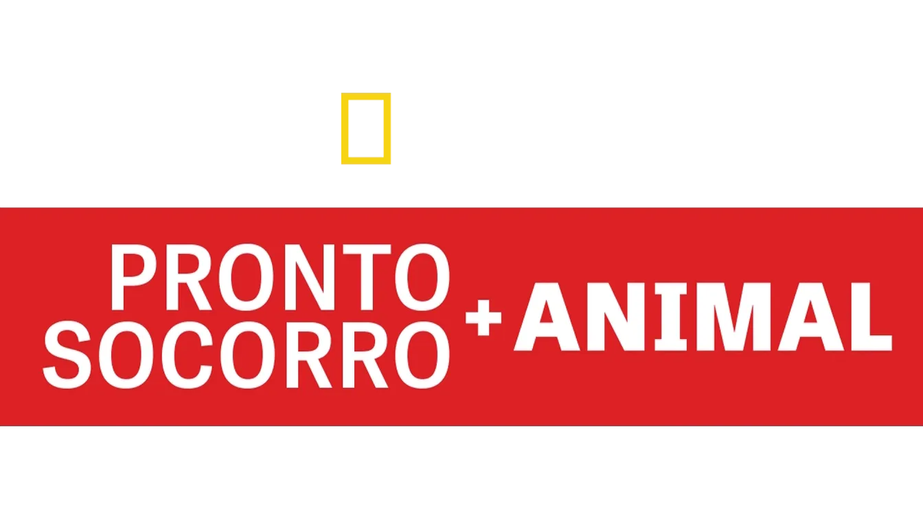 Pronto-Socorro Animal